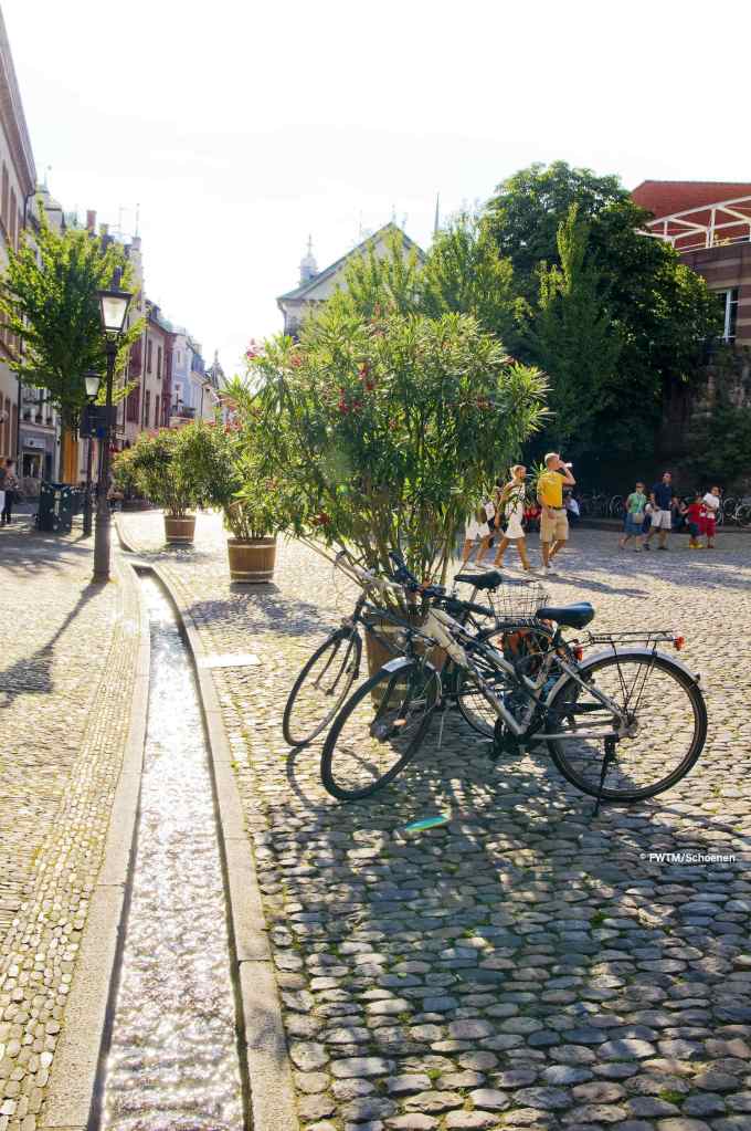 The Freiburg Bächle (little streams)