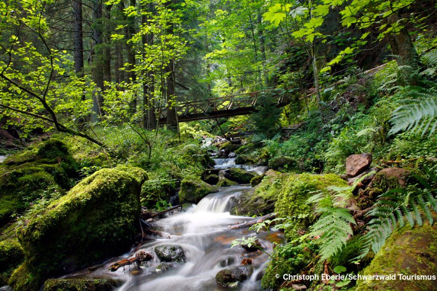 Ravenna Gorge near Breitnau